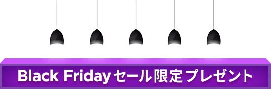 BLACK FRIDAYセール限定プレゼント