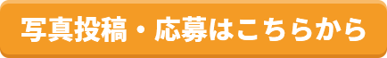 写真投稿・応募はこちらから
