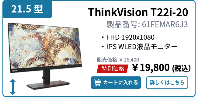 ThinkVision T22i-20