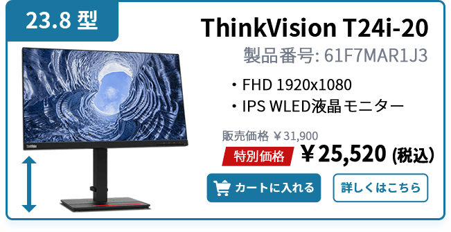ThinkVision T24i-20