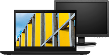 ThinkPad T490 + Monitor 19.5