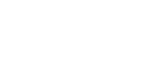 Premier Support