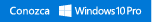 Windows 10