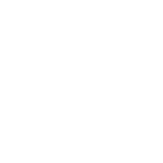 Datenschutzscan-Symbol