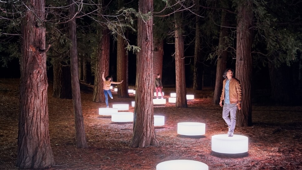 People on lighted-disc path in a forest setting