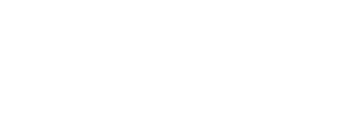Premier Support